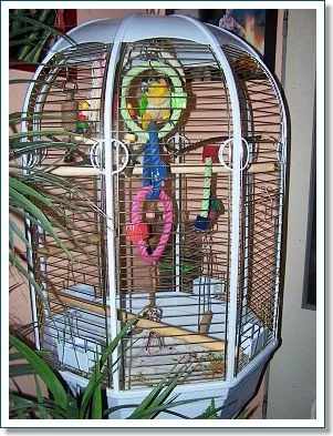 Vybavená klec pro papouška