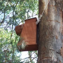 Černý krasavec v ohrožení - 2. díl