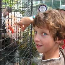 Kakadu - vzácní papoušci s chocholkou