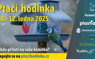 Ptačí hodinka je za dveřmi. Od pátku budou lidé sčítat ptáky na krmítkách