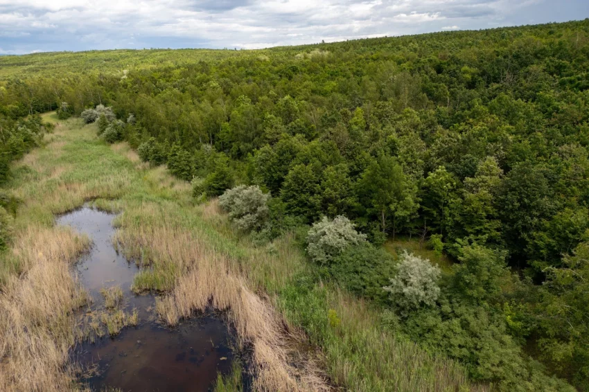 Střimická výsypka