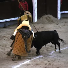 Býčí zápasy - z arény není úniku