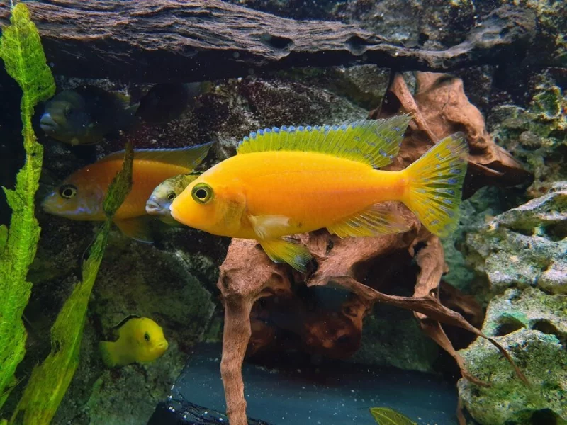 Typy akvarijní filtrace