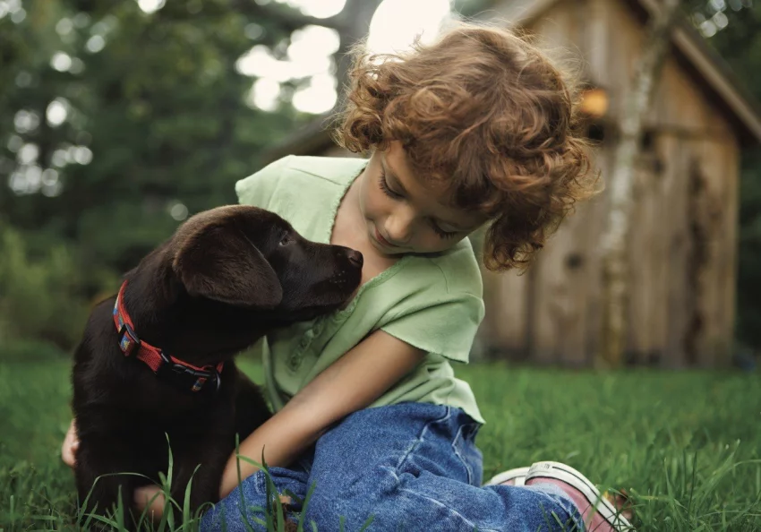 Letní horka a péče o mazlíčky: Jak ochránit svého chlupáče před přehřátím