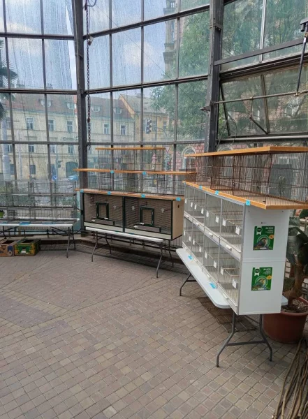 Výstava exotického ptactva v Pražské botanické zahradě