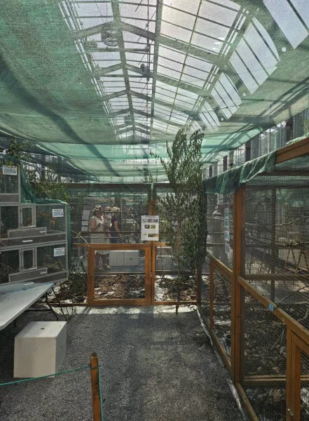 Výstava exotického ptactva v Pražské botanické zahradě