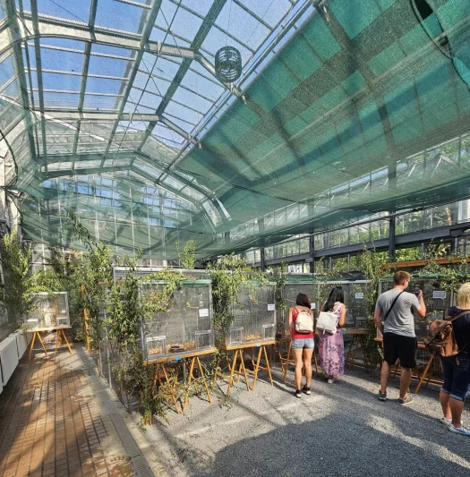 Výstava exotického ptactva v Pražské botanické zahradě