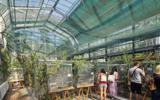 Výstava exotického ptactva v Pražské botanické zahradě