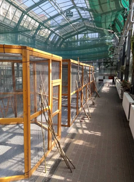 Výstava exotického ptactva v Pražské botanické zahradě