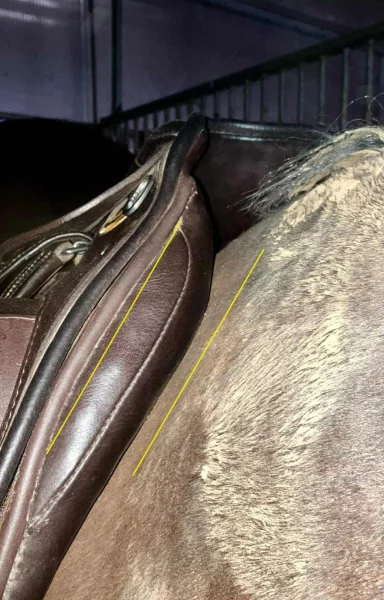 Sedí, nebo nesedí? Jak poznat, zda sedlo padne