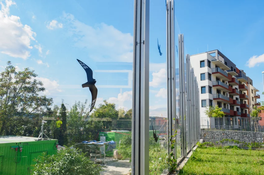Týden skleněného zabijáka upozorní na zbytečné úhyny ptáků. Lidé se zapojí do mapování