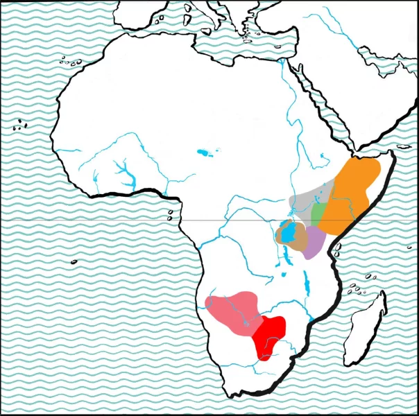 Rozšíření různých forem astrildů rudobřichých.