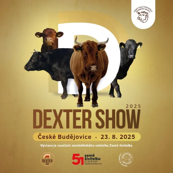 Druhý klubový šampionát plemene Dexter