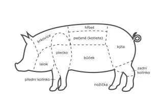 Kvalita vepřového masa