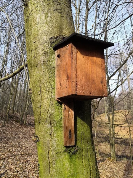 Budky pro šoupálky, ohlédnutí za rokem 2025