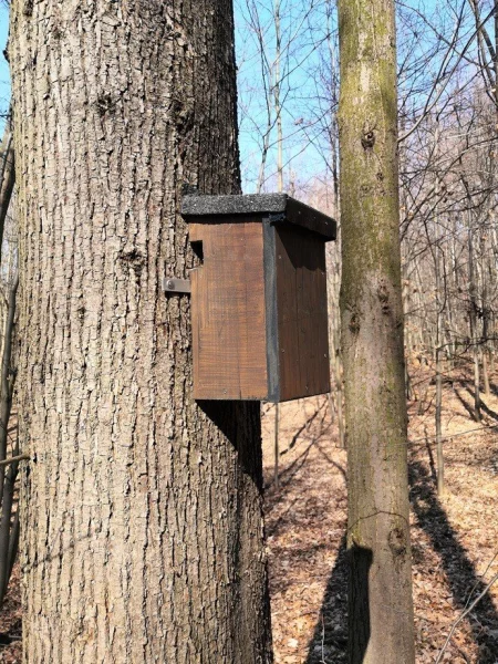 Klasická nová budka kotvená přímo na kmen stromu.