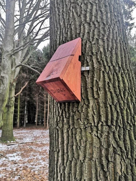 Vyvěšená budka pro šoupálky tvaru opačného klínu.