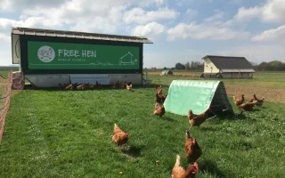 Slepičí ráj na kolech