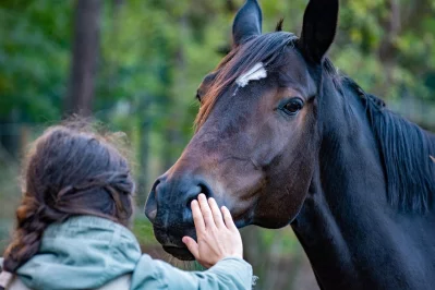 Koně myslí v obrazech a tlak je uklidňuje, říká známá autistka