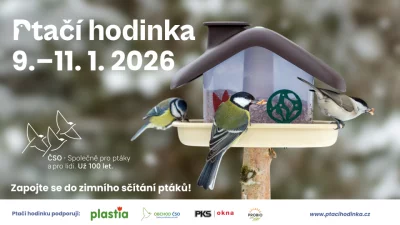 V pátek startuje Ptačí hodinka! Zapojte se do osmého ročníku sčítání ptáků na krmítkách