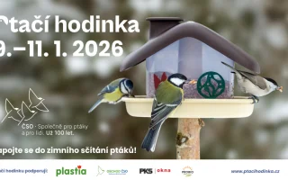 V pátek startuje Ptačí hodinka! Zapojte se do osmého ročníku sčítání ptáků na krmítkách