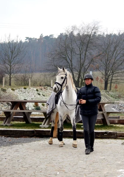 Proč koně v zimě vyhazují a mají moc energie?