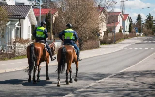 Jaký musí být policejní kůň?