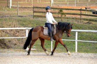 3 mýty o ruce jezdce – opravdu klidná a nezávislá na sedu?