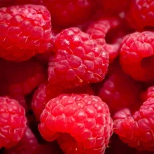 Běžné druhy ovoce ve výživě papoušků