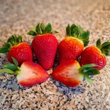 Běžné druhy ovoce ve výživě papoušků