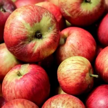 Běžné druhy ovoce ve výživě papoušků