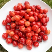 Běžné druhy ovoce ve výživě papoušků