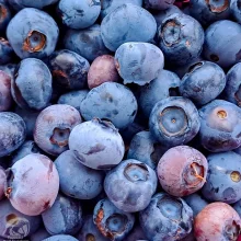 Běžné druhy ovoce ve výživě papoušků