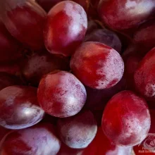 Běžné druhy ovoce ve výživě papoušků