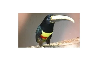 Na pívo do Itálie