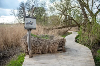 V ptačím parku Josefovské louky jsou dvě nové pozorovatelny pro veřejnost. Park letos slaví 20 let
