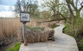V ptačím parku Josefovské louky jsou dvě nové pozorovatelny pro veřejnost. Park letos slaví 20 let