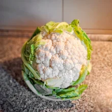 Zelenina ve výživě papoušků