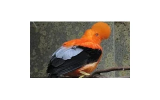 Zoo Wuppertal