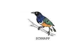 Pět let činnosti spolku SCHHAPP
