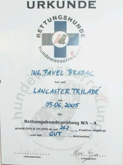 Dysplazie kyčelního kloubu a plavání