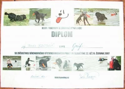 Dysplazie kyčelního kloubu a plavání