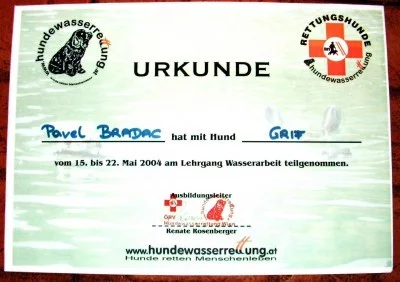 Dysplazie kyčelního kloubu a plavání