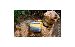 Dog-packing
