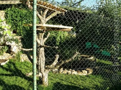 Mé setkání s chovatelkou šelem, paní Jüttnerovou