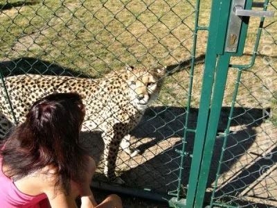 Mé setkání s chovatelkou šelem, paní Jüttnerovou