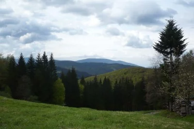 Jak jsem stopoval v Beskydech rysy, vlky a medvědy