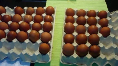 Maranska: slepice, která snáší čokoládová vejce