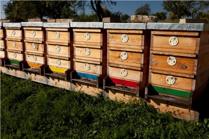 Výroba včelího úlu