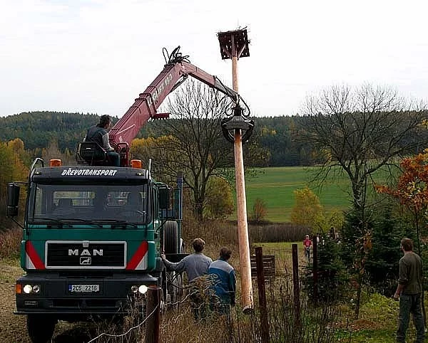 Hnízdní podložky pro čápy bílé